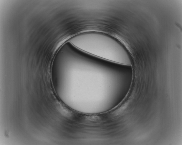 X0000096731129200802051122