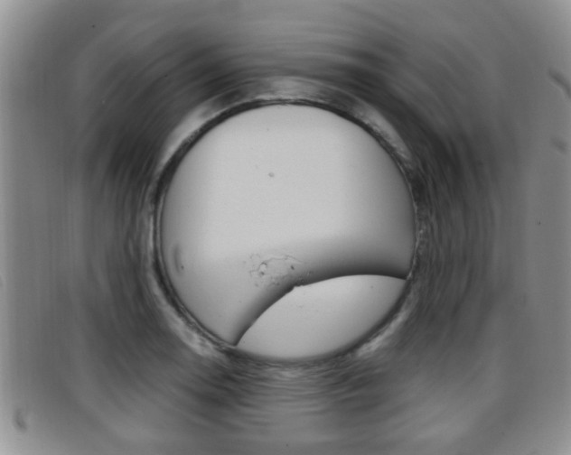X0000096731130200802051122