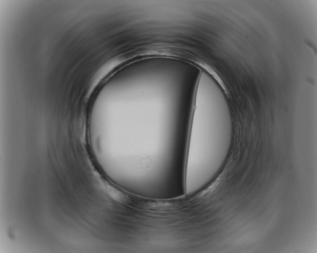 X0000096731131200802051122