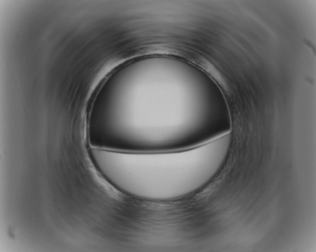 X0000096731132200802051122