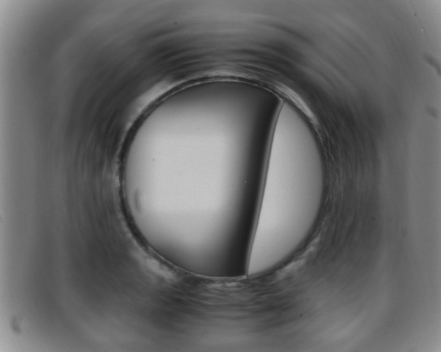X0000096731133200802051122