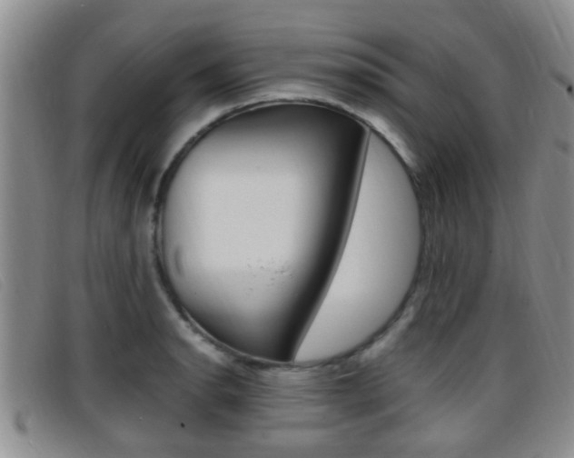 X0000096731134200802051122