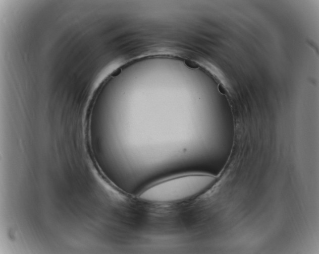 X0000096731135200802051123