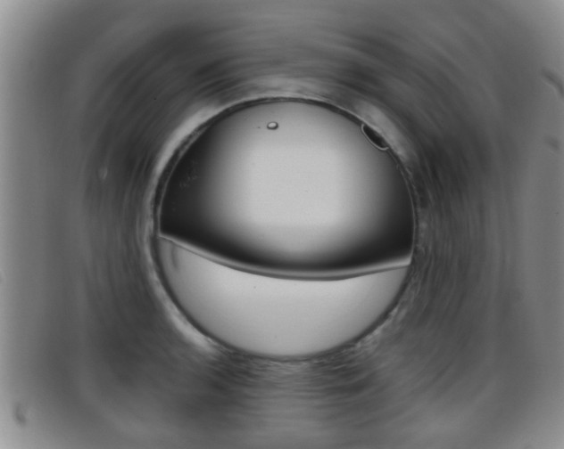 X0000096731136200802051123