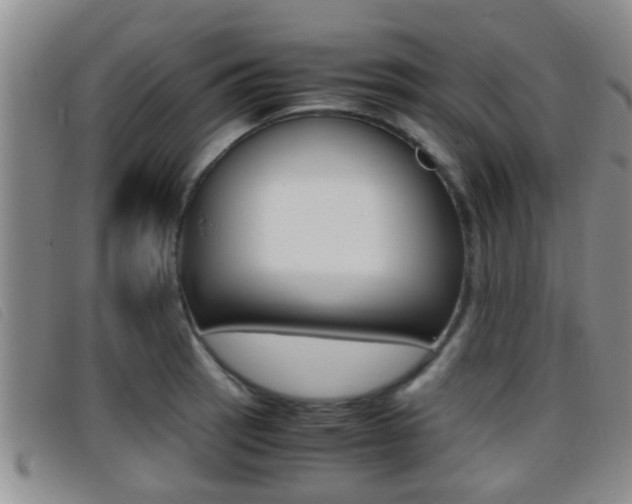 X0000096731137200802051123
