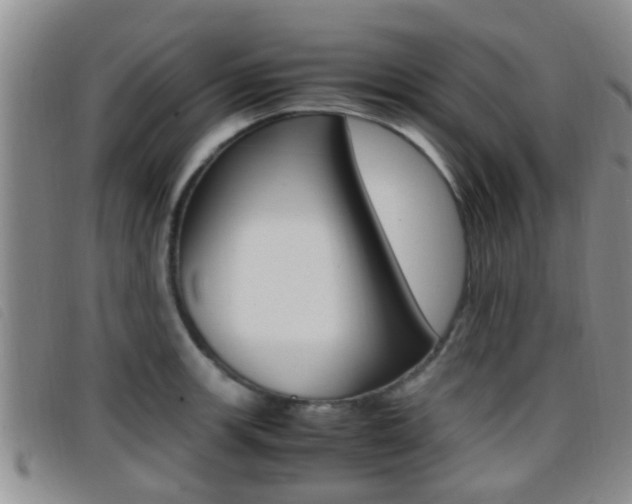 X0000096731139200802051123