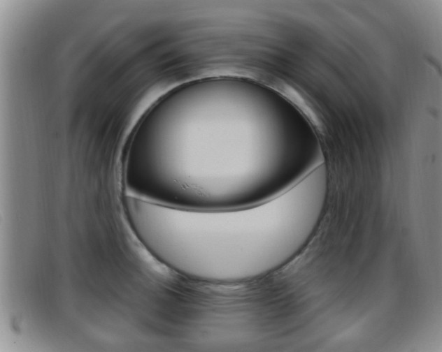 X0000096731140200802051123