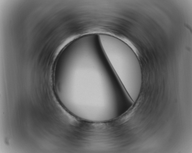 X0000096731142200802051123