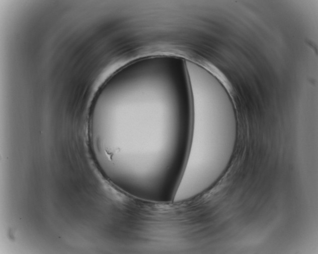 X0000096731144200802051123