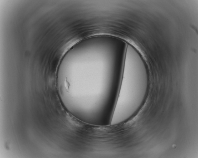 X0000096731145200802051123