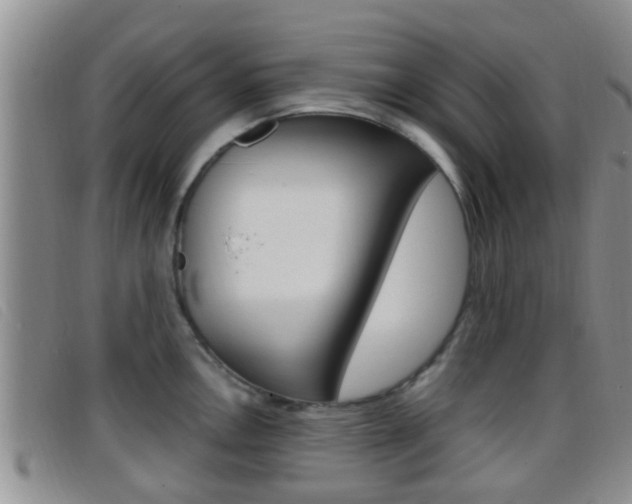 X0000096731146200802051123
