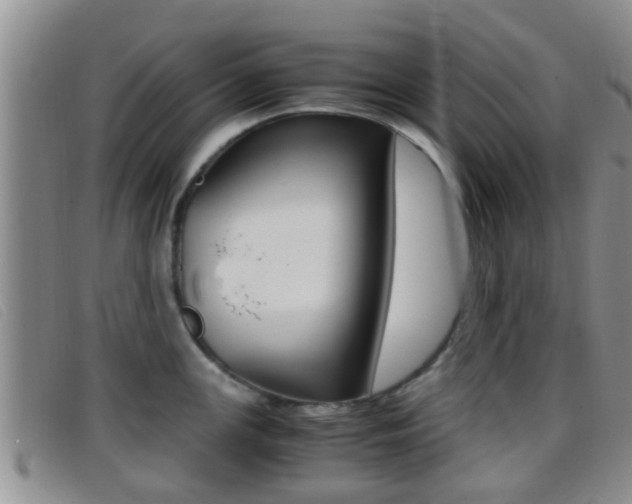 X0000096731147200802051123