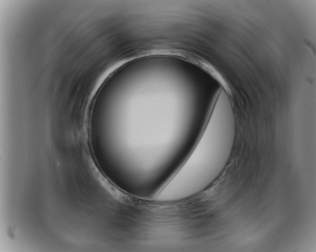 X0000096731148200802051123