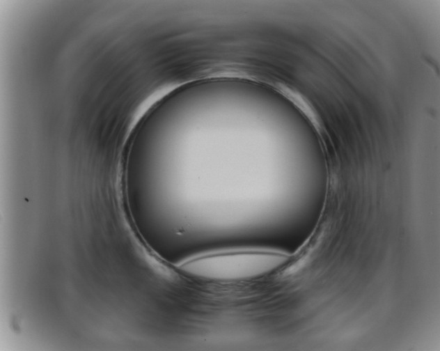 X0000096731149200802051123