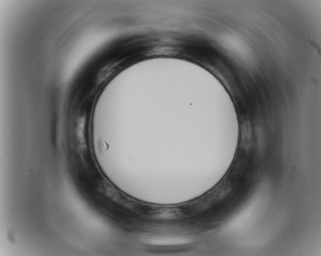 X0000096731150200802051123