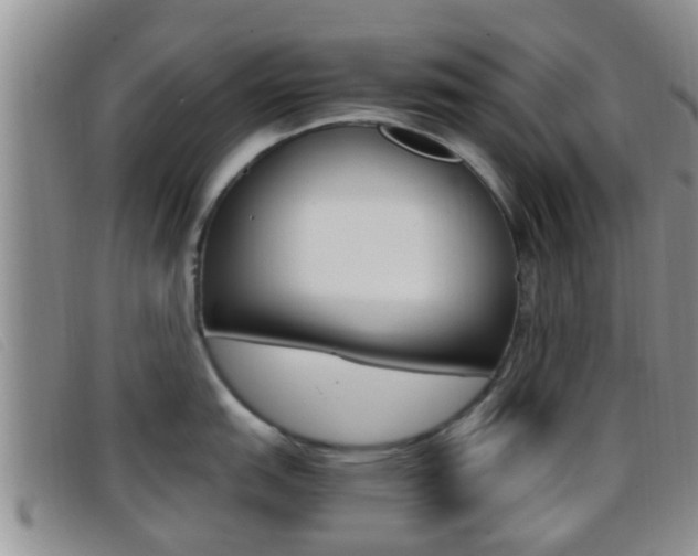 X0000096731151200802051123