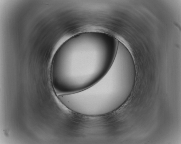 X0000096731152200802051123