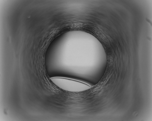 X0000096731153200802051122