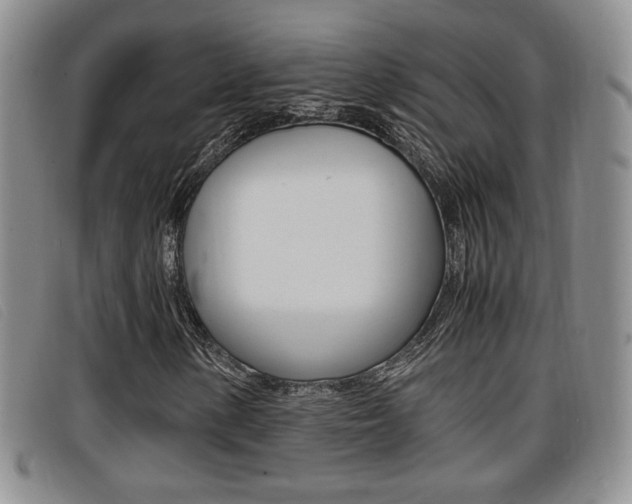 X0000096731154200802051122