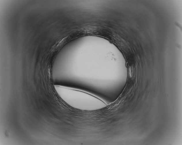 X0000096731155200802051122