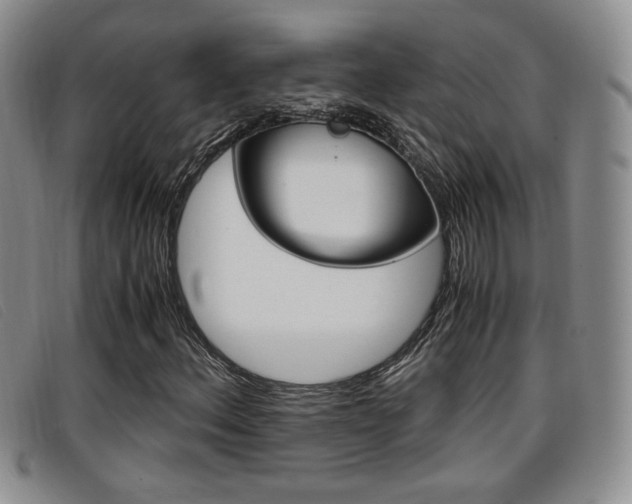 X0000096731156200802051122
