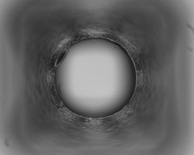 X0000096731157200802051122