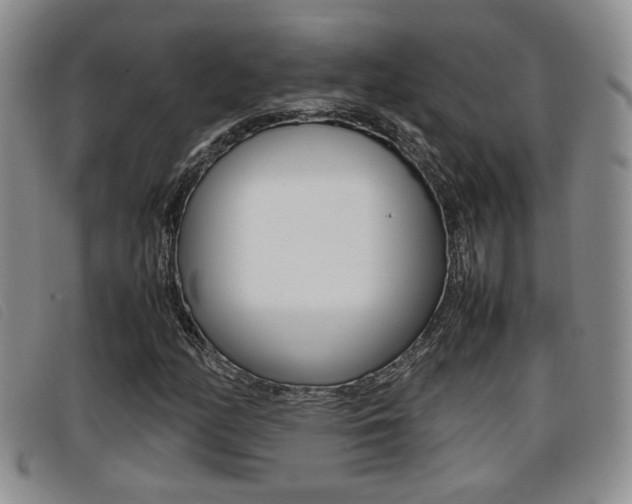 X0000096731158200802051122