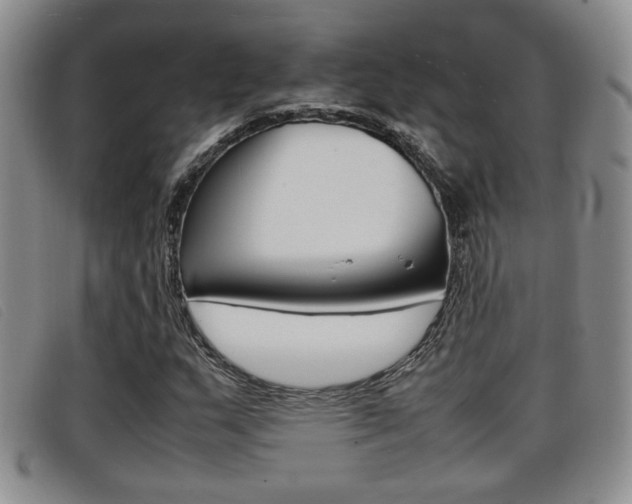 X0000096731159200802051122