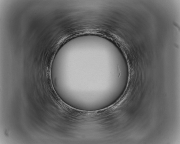 X0000096731161200802051122
