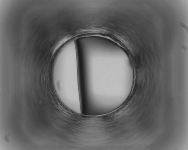 X0000096731163200802051122