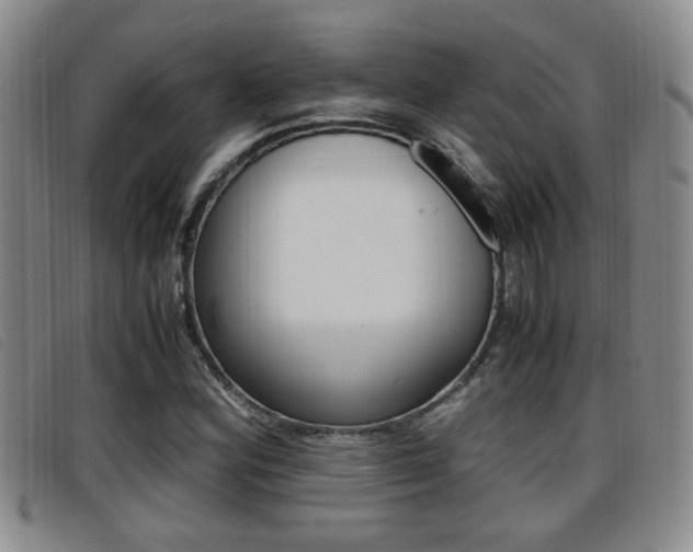 X0000096731164200802051122