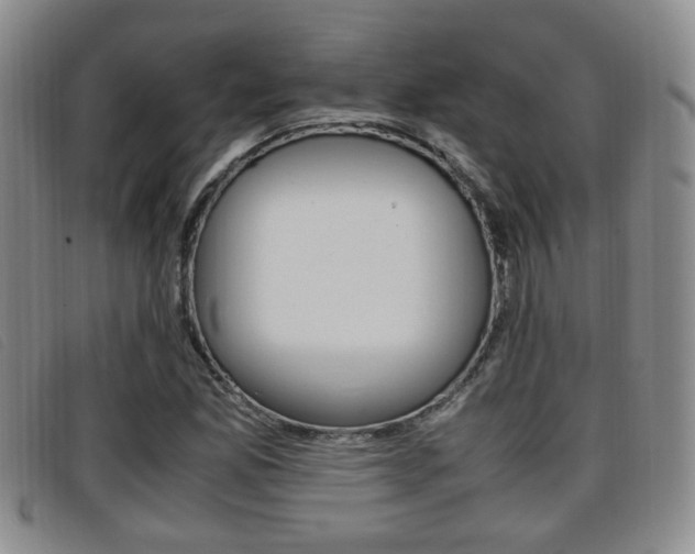 X0000096731165200802051122