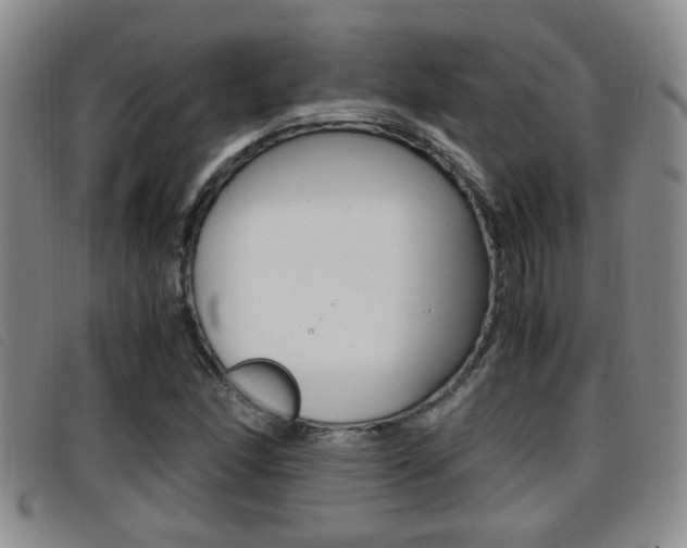 X0000096731166200802051122