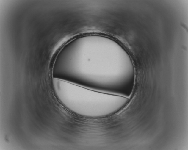 X0000096731167200802051122