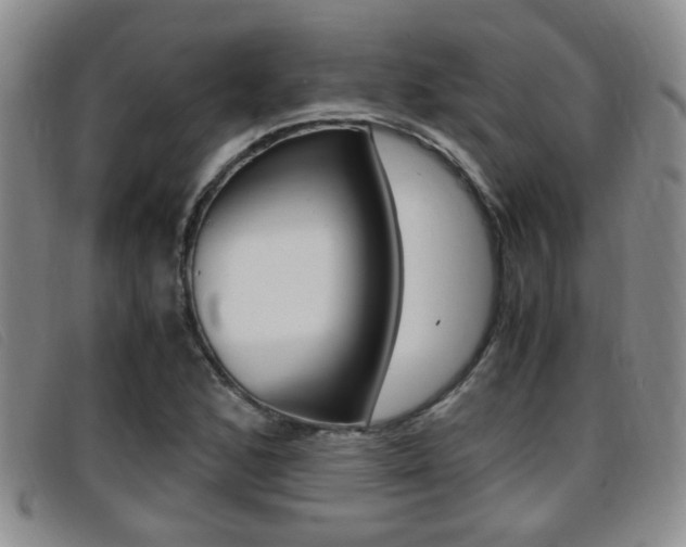 X0000096731168200802051122