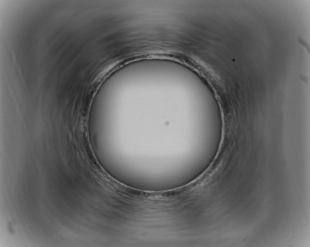 X0000096731169200802051122