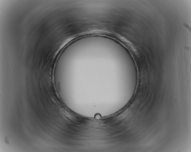 X0000096731170200802051122