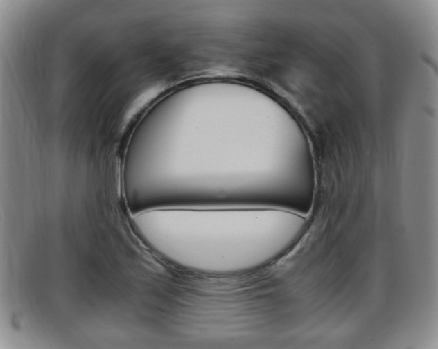 X0000096731171200802051122