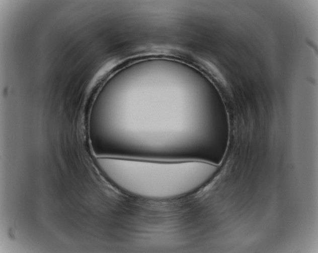 X0000096731172200802051122