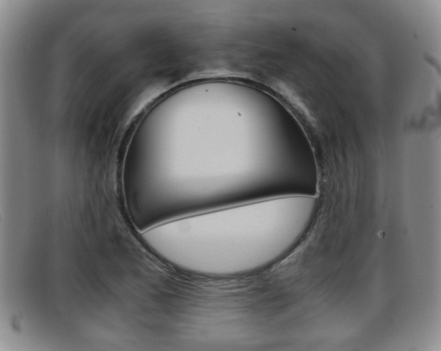 X0000096731173200802051122
