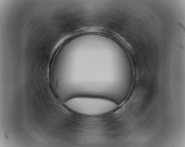 X0000096731174200802051122