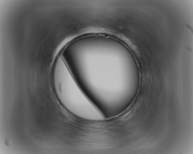 X0000096731175200802051122