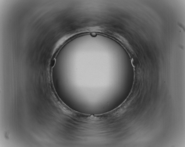 X0000096731176200802051122