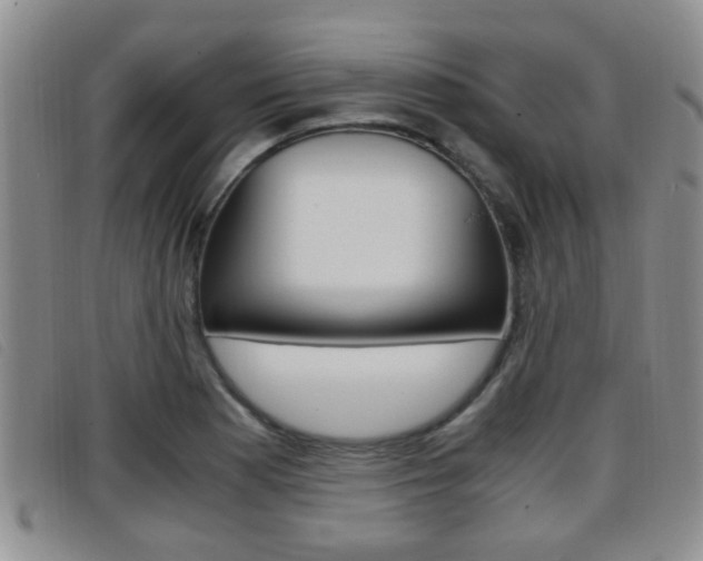 X0000096731177200802051122