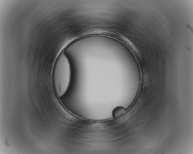 X0000096731178200802051122