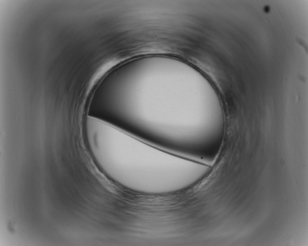 X0000096731179200802051122