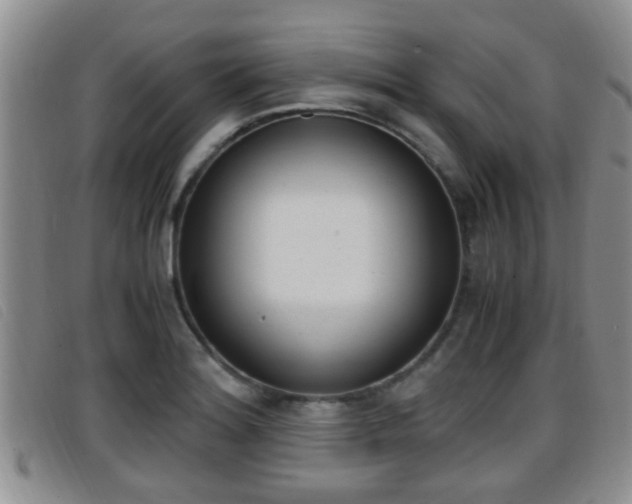 X0000096731180200802051122
