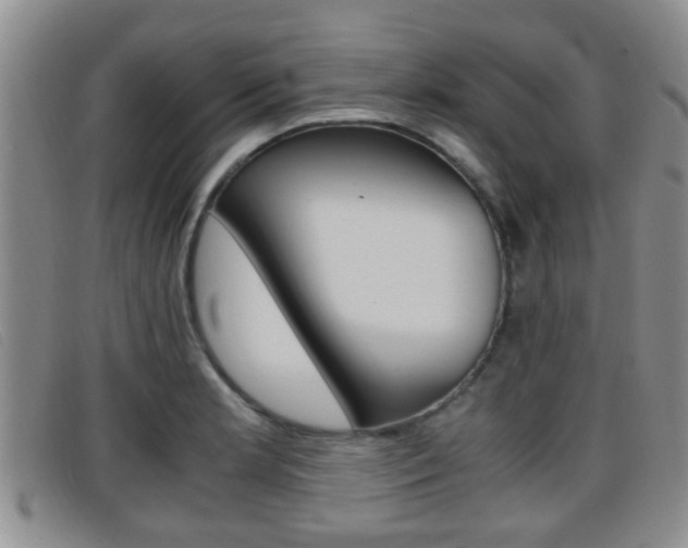 X0000096731181200802051122