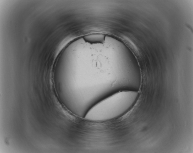 X0000096731182200802051122