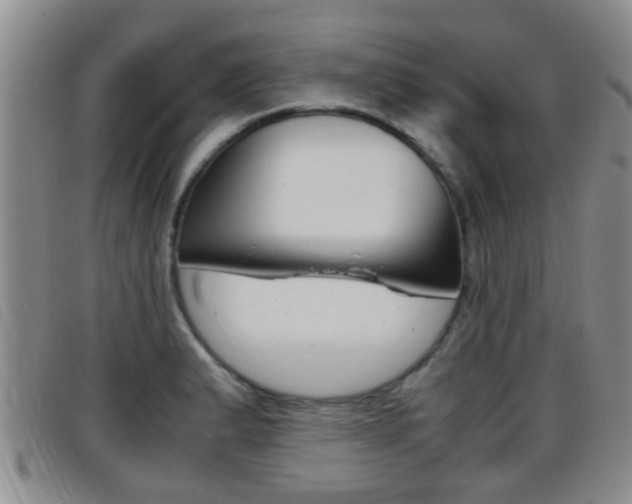 X0000096731183200802051121